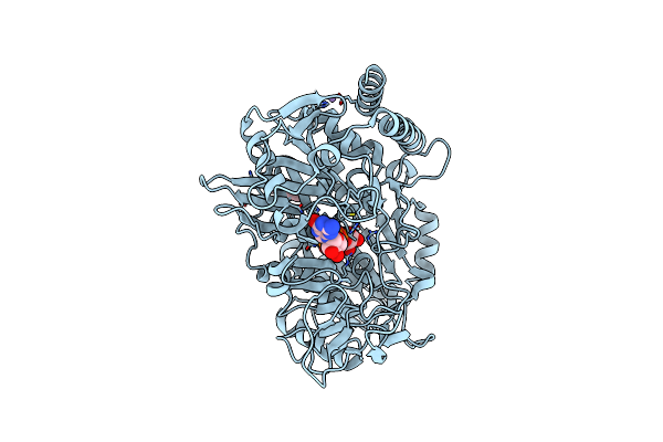 9EJ2 image