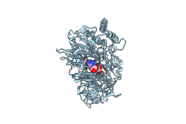 9EJ6 image