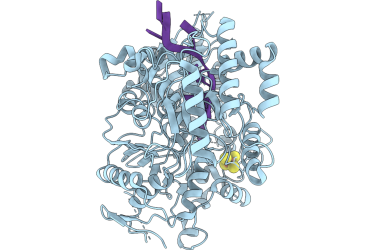 9EJB image