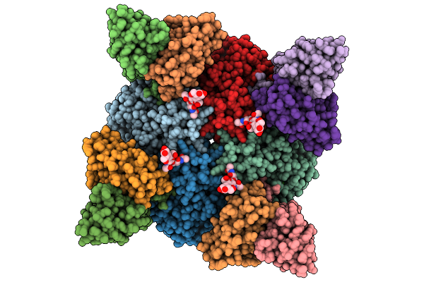 9EJF image
