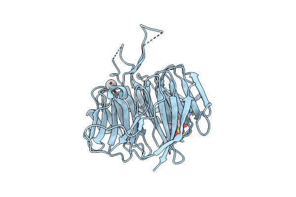 9EJP image