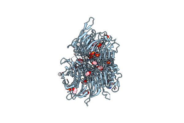 9EJQ image