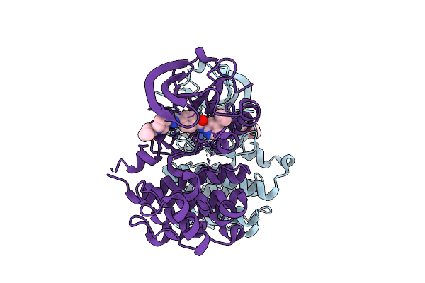 9EJR image