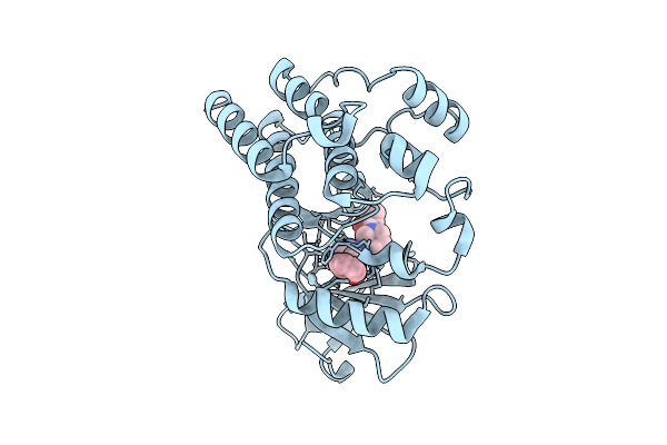9EJX image