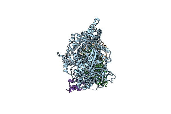 9EKB image