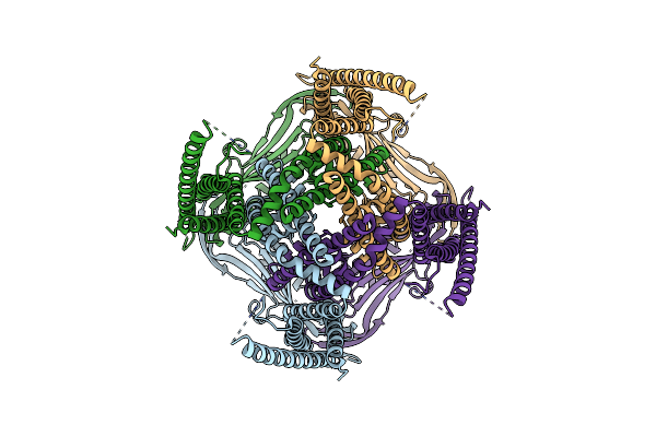 9EKT image