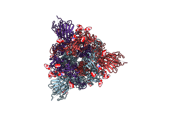 9ELO image