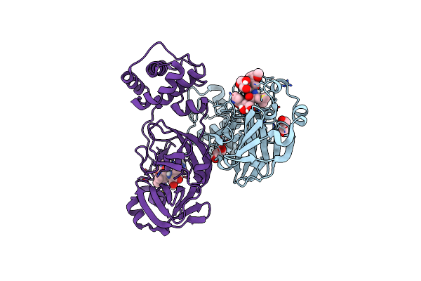 9ELV image