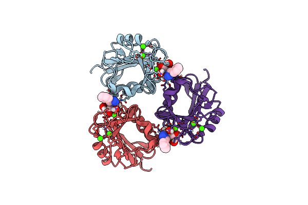 9EMR image