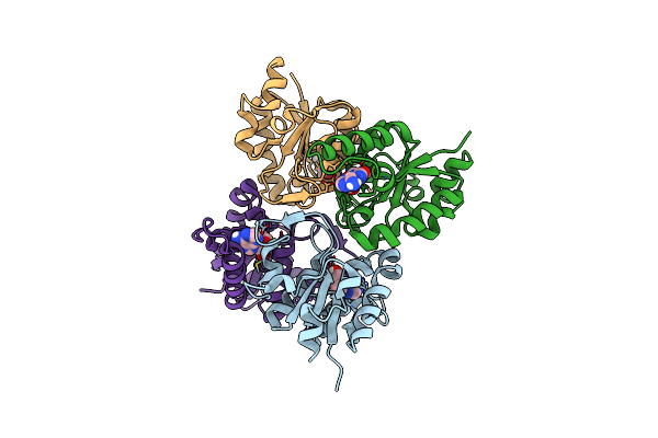 9EMX image