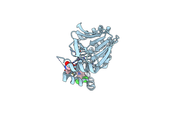 9ENG image