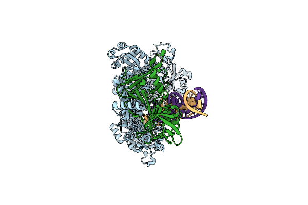 9ENP image