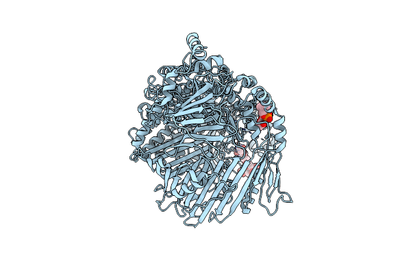 9ENR image