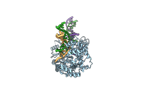 9EO1 image