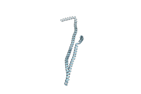 9EOM image