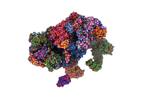 9EPC image