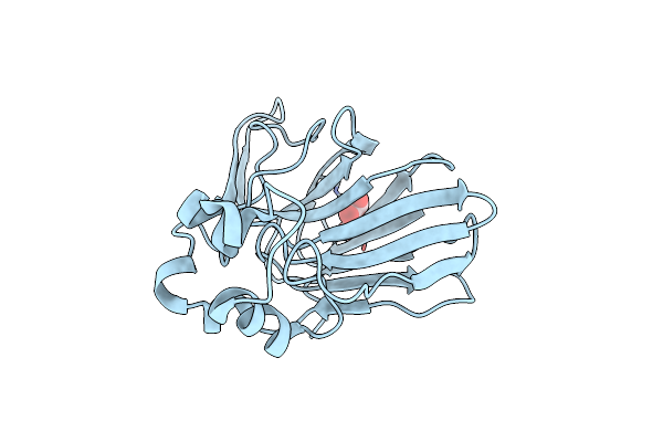 9EPE image