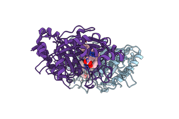9EPI image