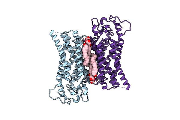 9EPO image