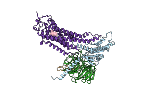 9EPR image