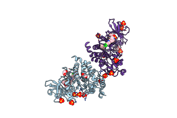 9EPV image