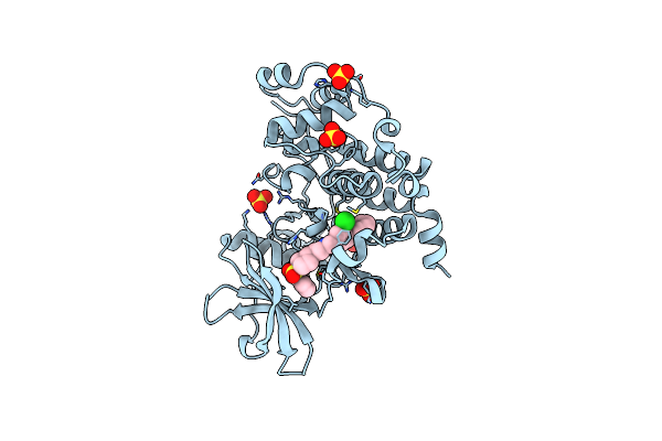 9EPW image