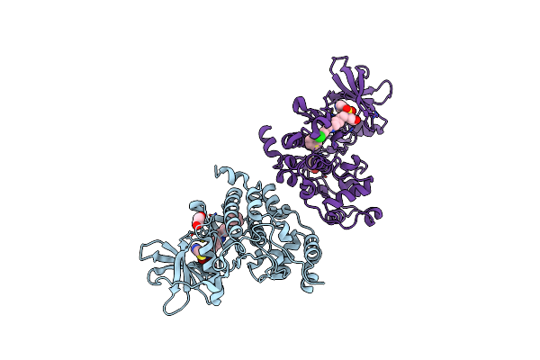9EQ1 image