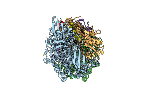 9ERB image