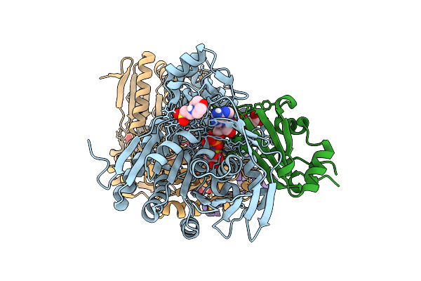 9ERQ image