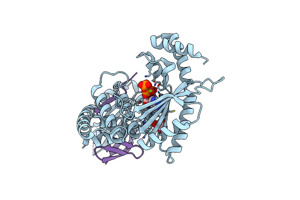 9ERV image