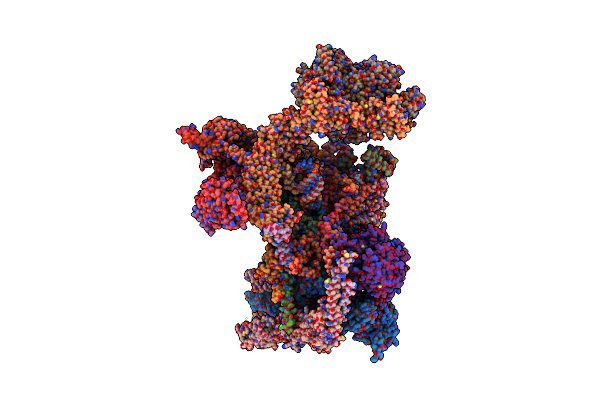 9ESI image