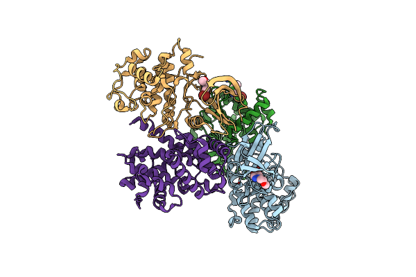 9ESP image