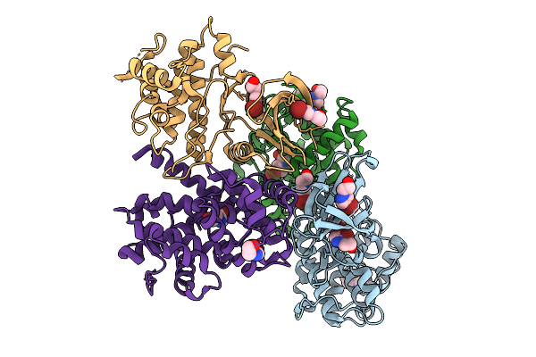 9ESR image