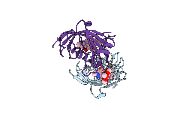 9EUE image