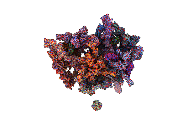 9EUF image