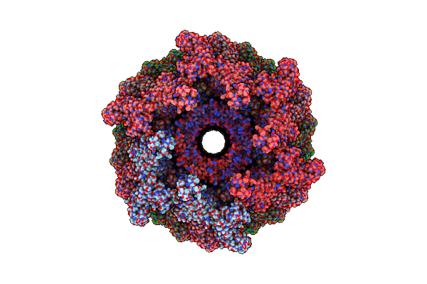 9EV2 image