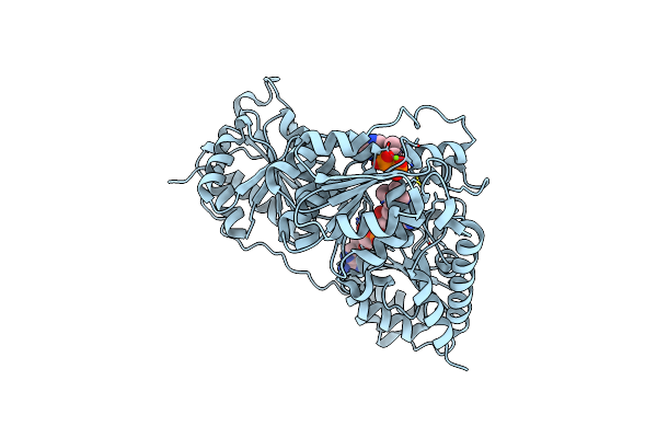 9EV3 image