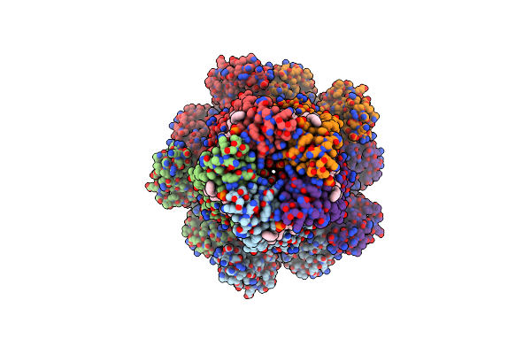 9EV8 image