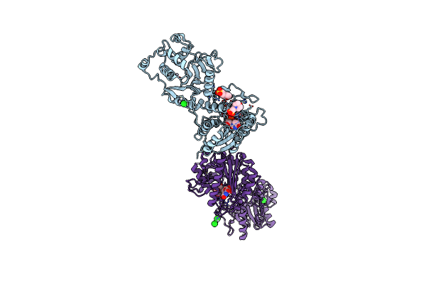9EVL image