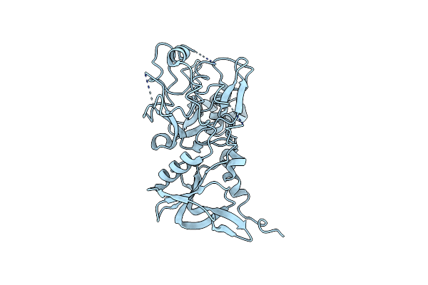 9EVN image
