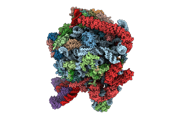9EVS image