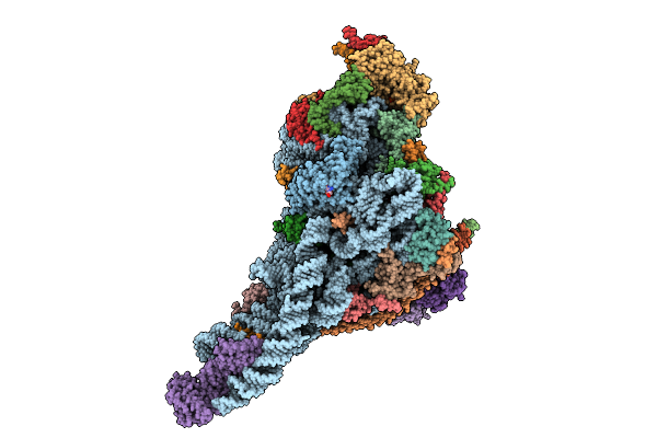 9EVT image