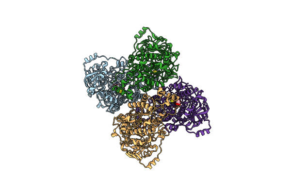 9EVV image