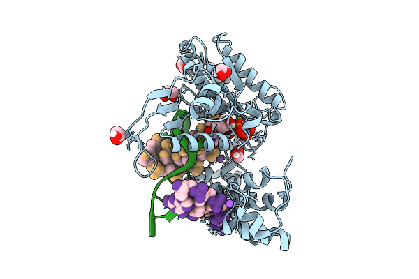 9EWB image