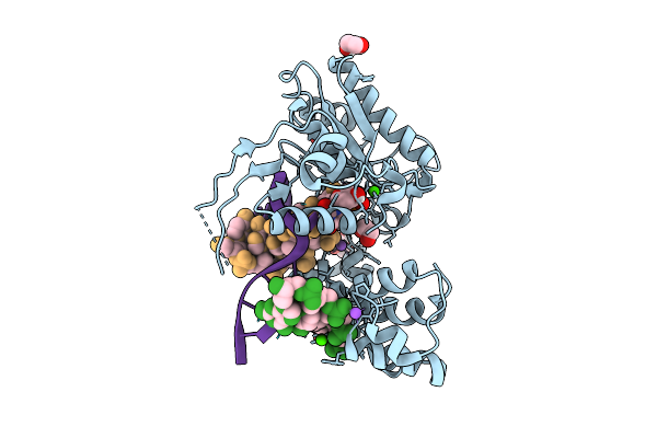 9EWG image