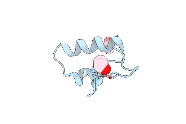 9EWK image