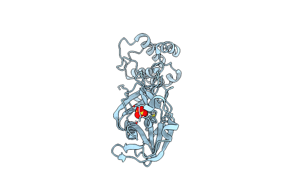 9EWO image