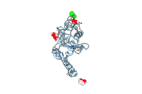 9EWP image