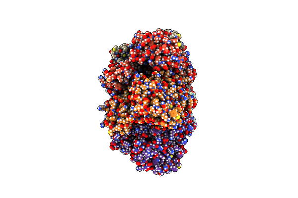 9EXD image