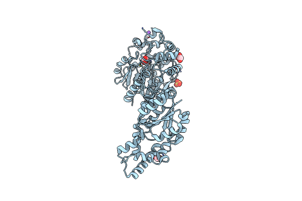 9EXM image